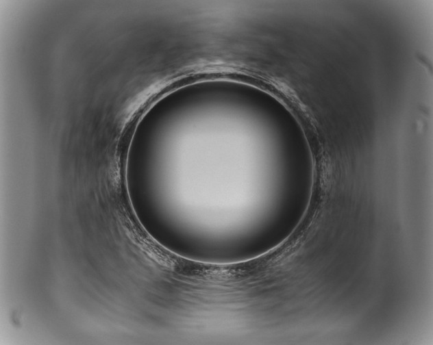 X0000100881167200806201239