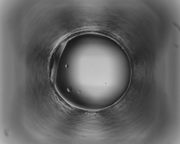 X0000100881168200806201239