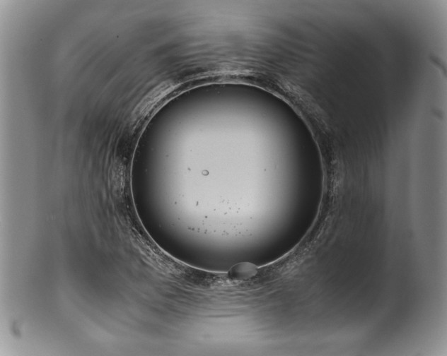 X0000100881169200806201239