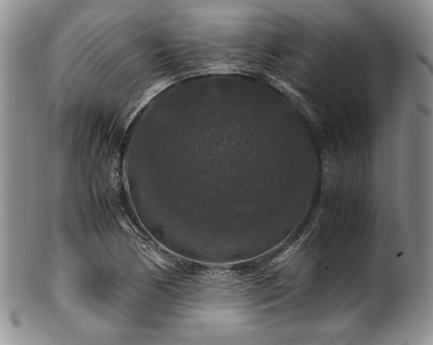 X0000100881170200806201239