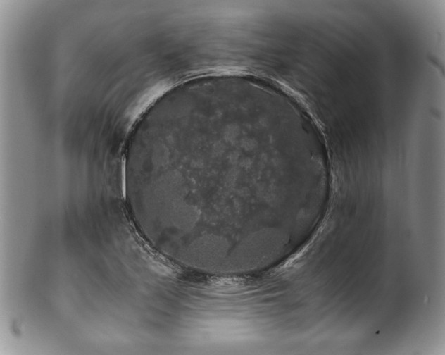 X0000100881171200806201239