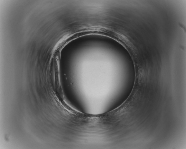 X0000100881172200806201239