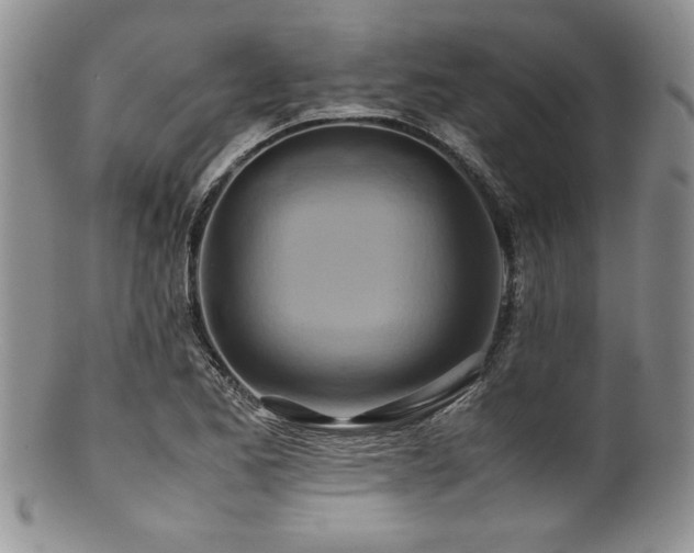 X0000100881173200806201239