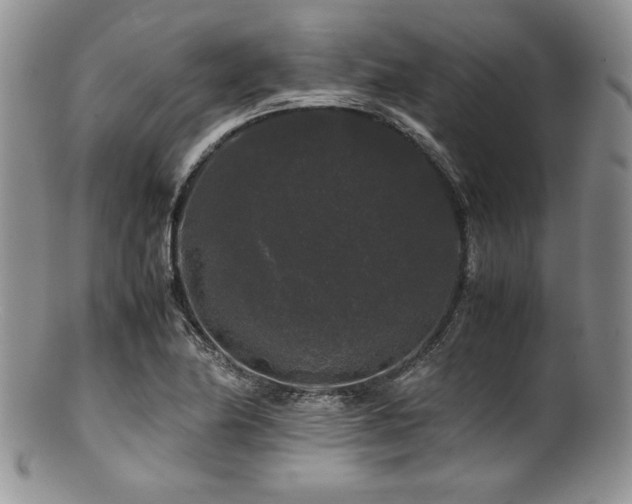 X0000100881174200806201239