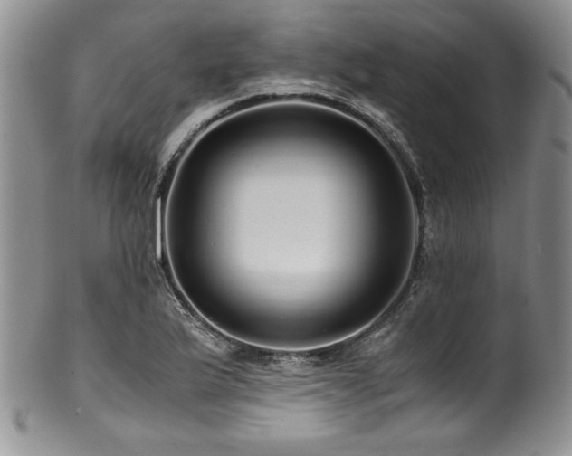 X0000100881175200806201239