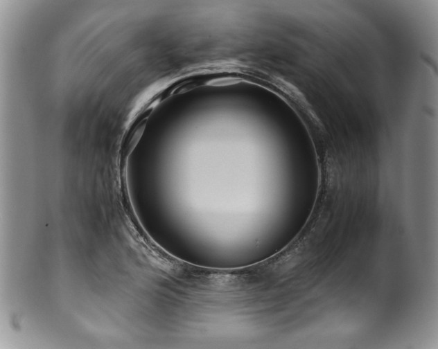 X0000100881176200806201239