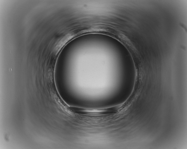 X0000100881177200806201239