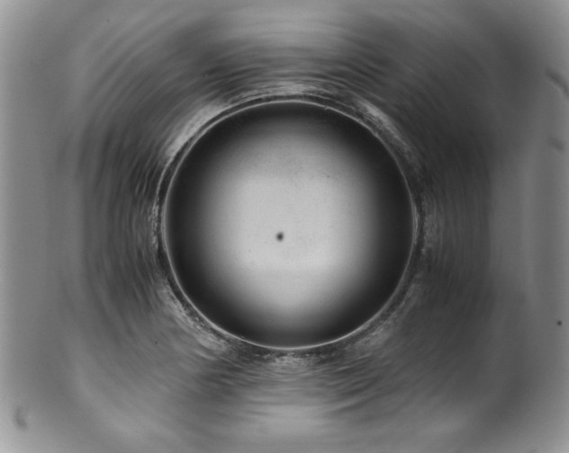 X0000100881178200806201239