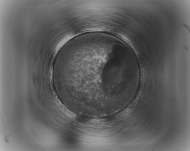 X0000100881179200806201239