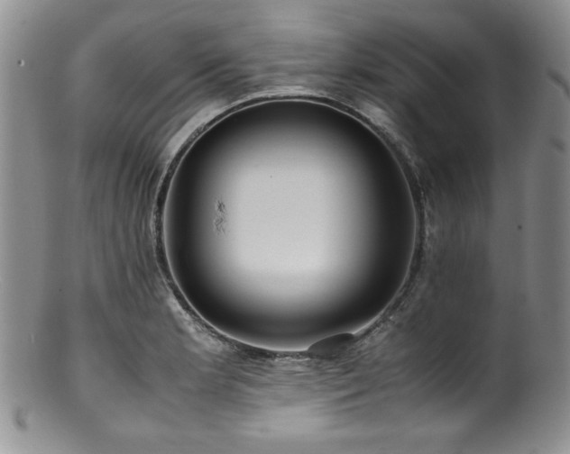 X0000100881181200806201239