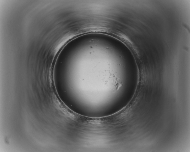 X0000100881182200806201239