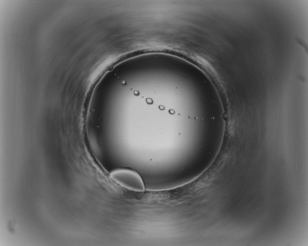 X0000100881183200806201239