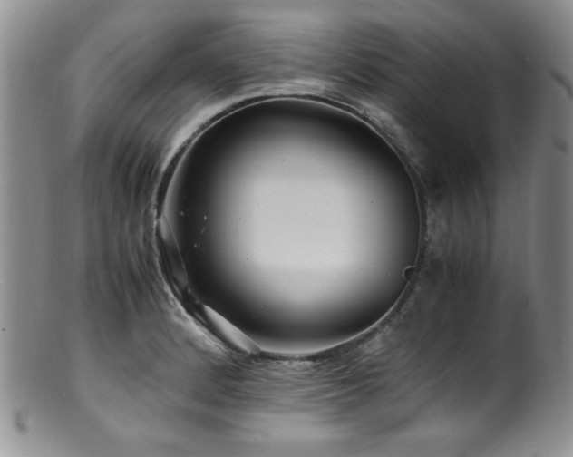 X0000100881184200806201239