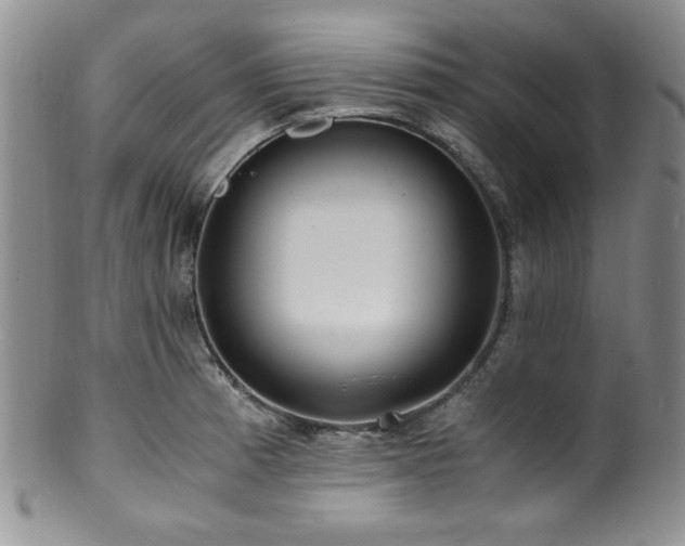 X0000100881185200806201239