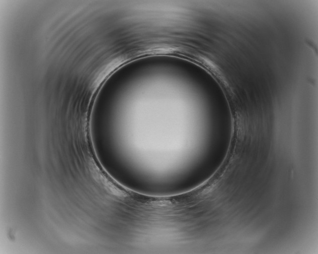 X0000100881186200806201239
