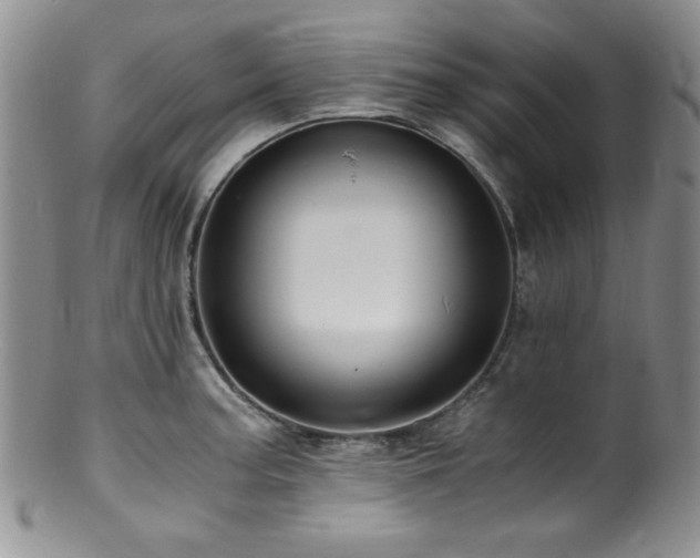 X0000100881187200806201239