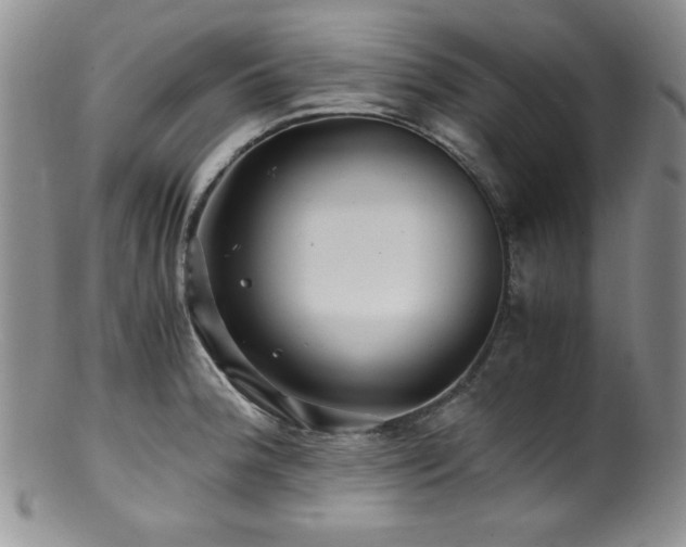 X0000100881188200806201239