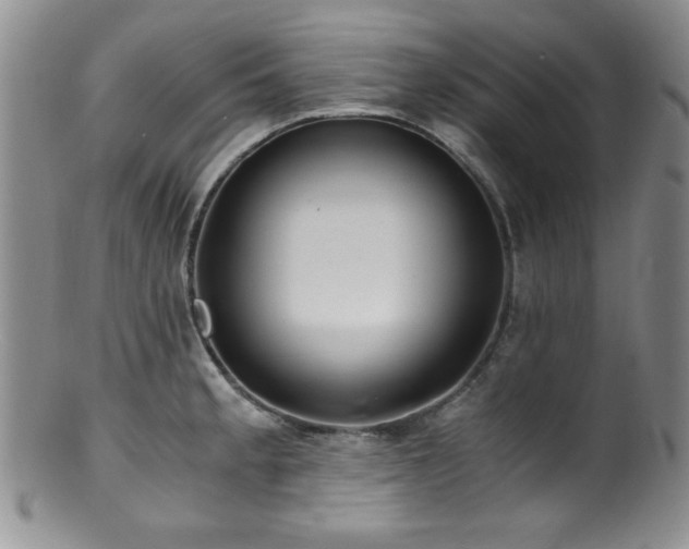 X0000100881189200806201239