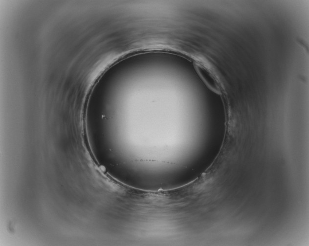 X0000100881191200806201239