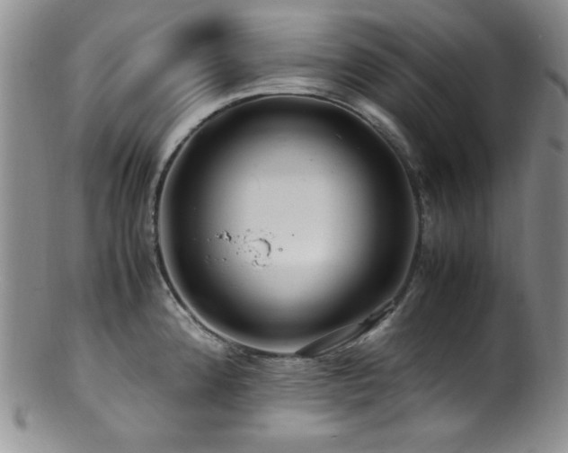 X0000100881192200806201239