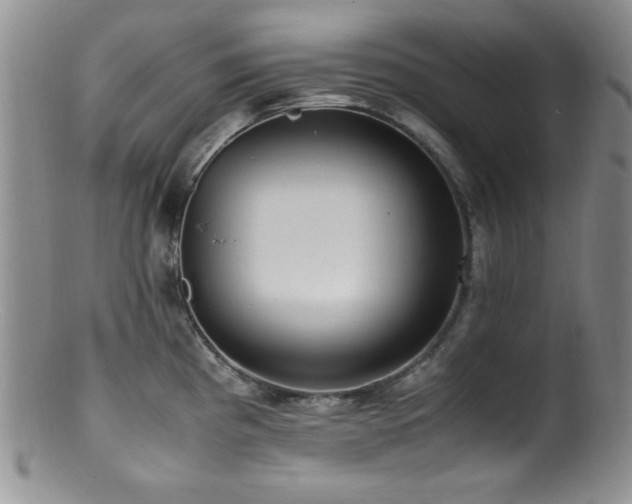 X0000100881193200806201239