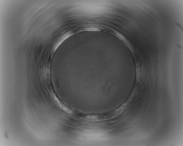 X0000100881194200806201239