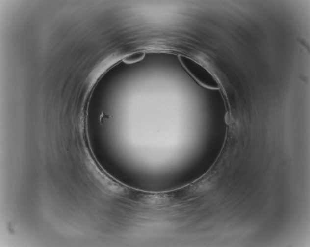 X0000100881195200806201239