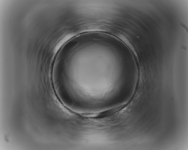 X0000100881197200806201239