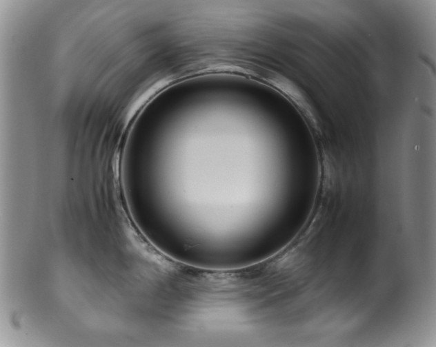 X0000100881198200806201239