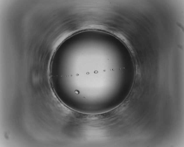 X0000100881199200806201239