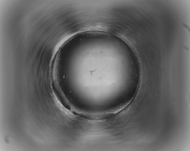 X0000100881200200806201239