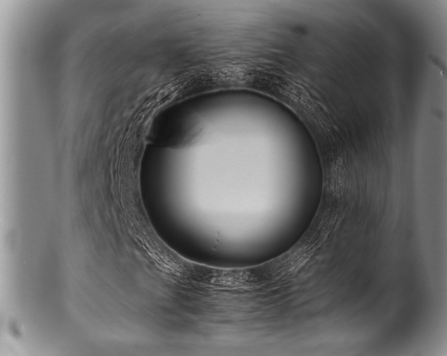 X0000100881201200806201238