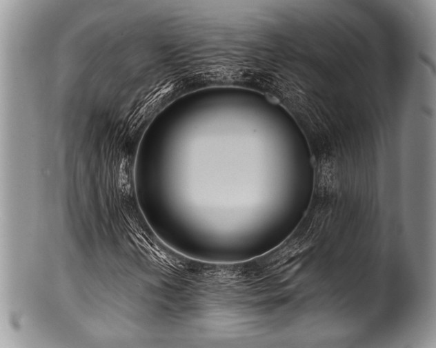 X0000100881202200806201238