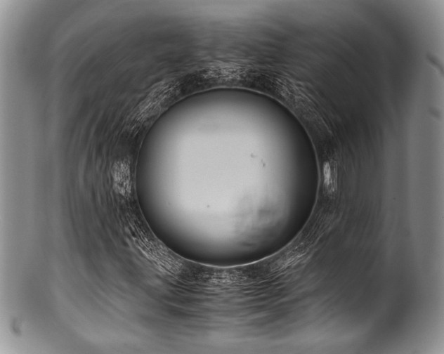 X0000100881203200806201238