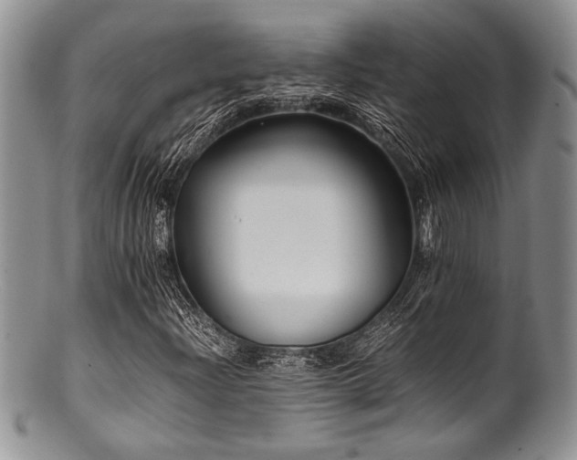 X0000100881204200806201238