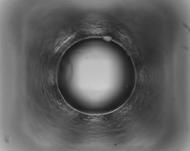 X0000100881205200806201238