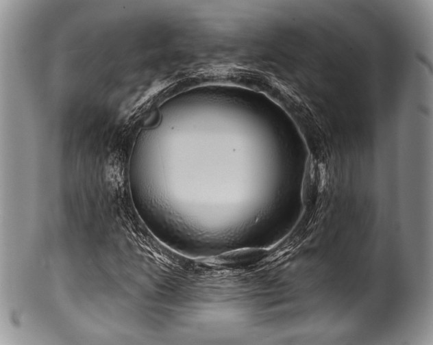 X0000100881206200806201238