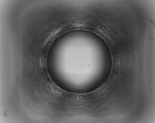 X0000100881207200806201238