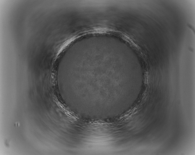 X0000100881208200806201238