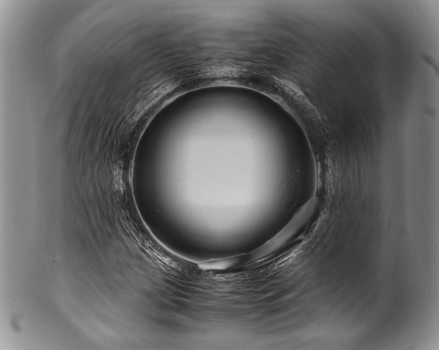 X0000100881209200806201238