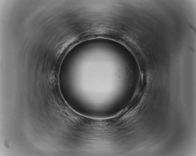 X0000100881210200806201238