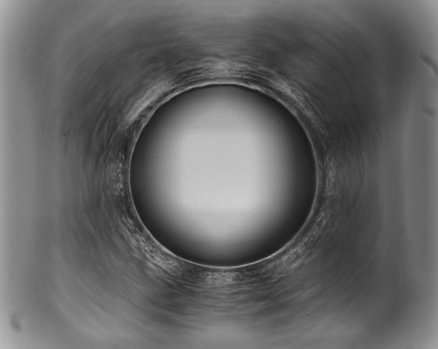 X0000100881211200806201238