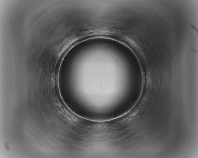 X0000100881212200806201238