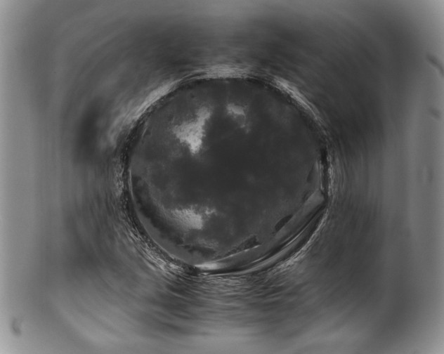 X0000100881213200806201238