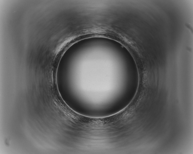 X0000100881214200806201238