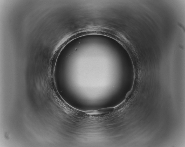 X0000100881216200806201238