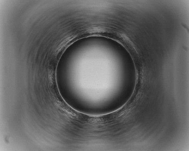 X0000100881217200806201238