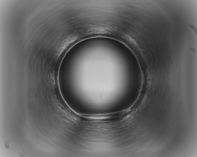 X0000100881218200806201238