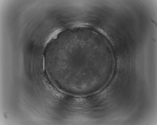 X0000100881219200806201238