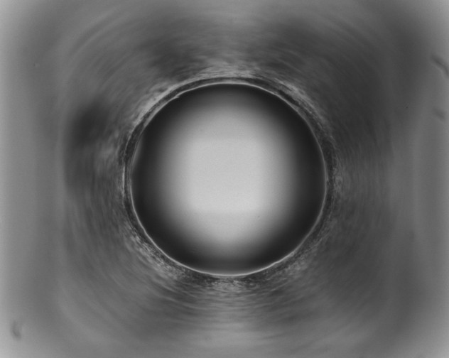 X0000100881220200806201238